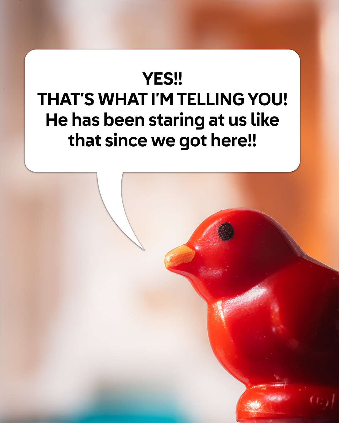 LEGO_carousel gallery_1HY25_Q2C02_TREVI BIRD CONVO IMAGES_4x5_fb_ig_AID252GL3b69f7ed_03